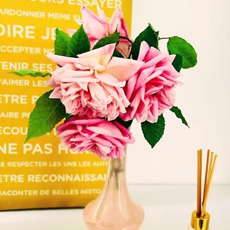 Apartment Serenity - Garden Calm & Air Conditioning Downtown Saint-Laurent-du-Var