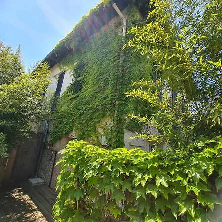 דירה Charming Apartment Downtown - Private Garden & Ac - Near Train Station & Airport *