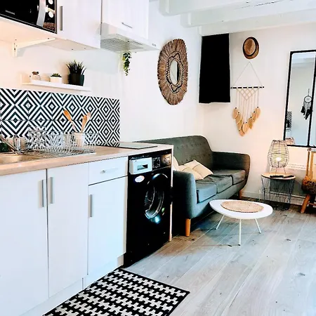 Charming Apartment Downtown - Private Garden & Ac - Near Train Station & Airport * סאן-לורן-דו-ואר