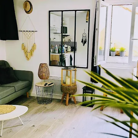 Charming Apartment Downtown - Private Garden & Ac - Near Train Station & Airport