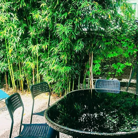 Charming Apartment Downtown - Private Garden & Ac - Near Train Station & Airport סאן-לורן-דו-ואר