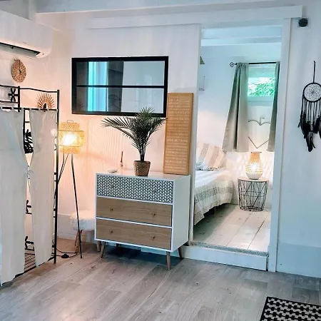 Charming Apartment Downtown - Private Garden & Ac - Near Train Station & Airport