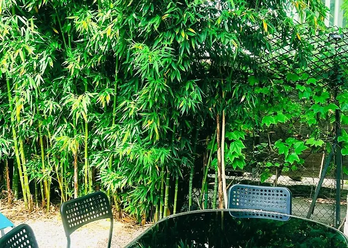 Apartamento Serenity - Garden Calm & Air Conditioning Downtown